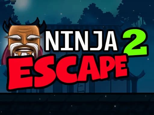 Ninja Kaçışı 2