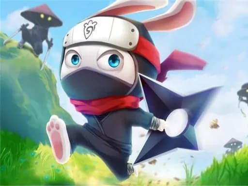 Ninja Tavşanı