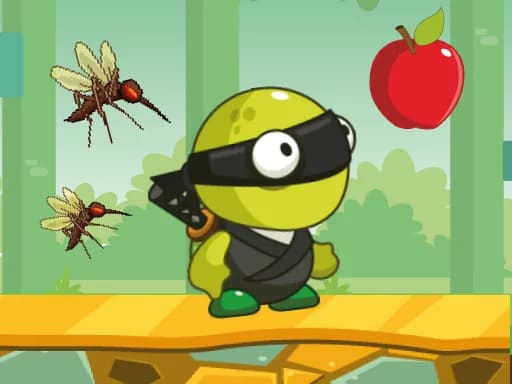 Ninja Macerası