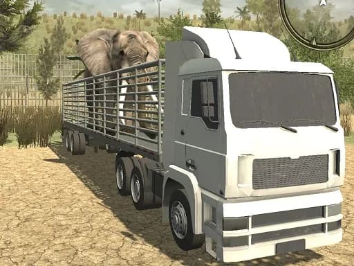 Offroad Kamyon Hayvan Taşıyıcı