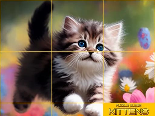 Kaydırmalı Bulmaca Kedi